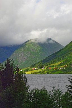 Norveç Fiyordu kıyısında görünümü