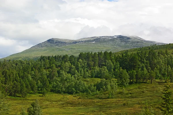 Górzysty krajobraz Północnej Norwegii — Zdjęcie stockowe