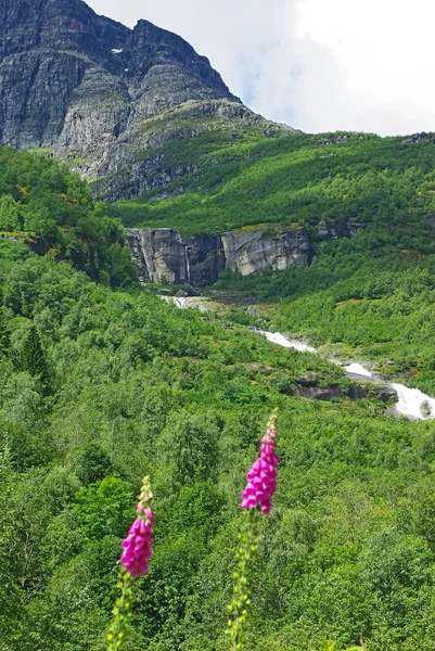 Paisaje montañoso del norte de Noruega —  Fotos de Stock