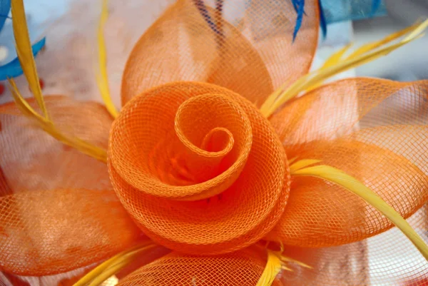 stock image Close up fashion accessory made of feather