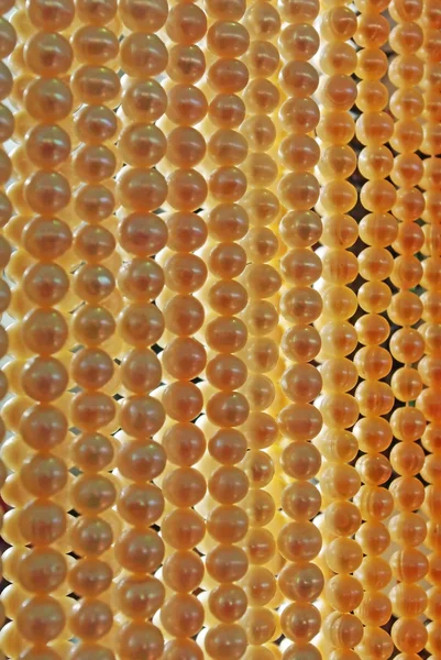 Texture of white pearl beads — Stock Photo, Image