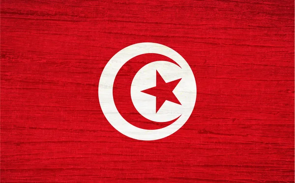 突尼斯的旗子 — 图库照片#