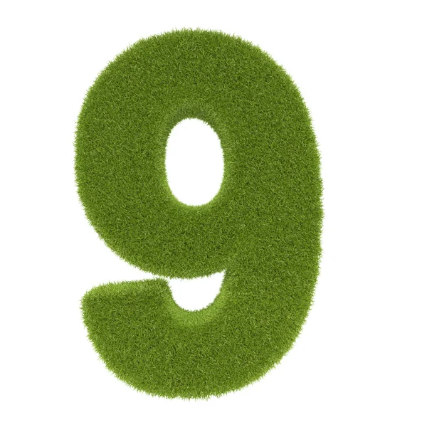 Numéro d'herbe — Photo