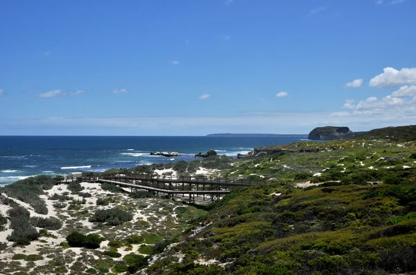 Yaz aylarında muhteşem Avustralya plaj — Stok fotoğraf