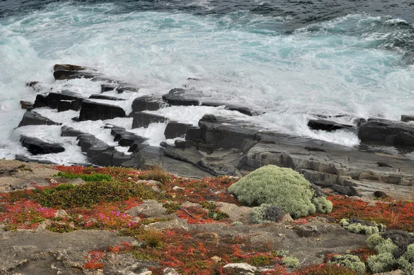 大浪和野生岩 — 图库照片