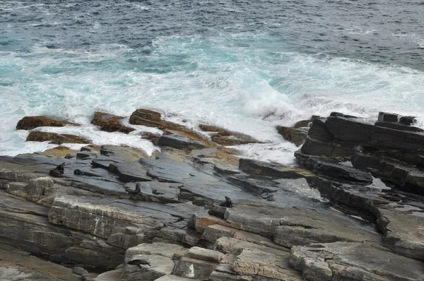 Grandes ondas e a rocha selvagem — Fotografia de Stock