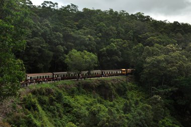 demiryoluna tren