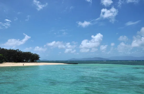 Stock image Shore Landscape