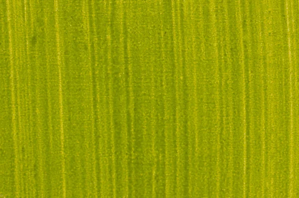 Зеленый лак — стоковое фото