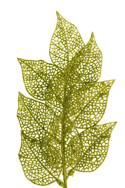 Christmas decorative green leaves — Stock Photo, Image