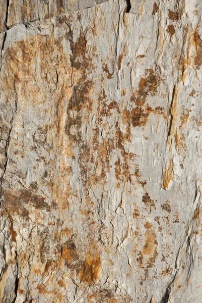 頁岩の石 — ストック写真