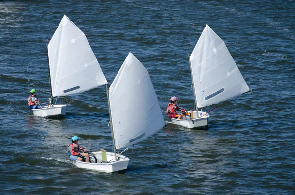 Sailing boat competition — Stock Photo, Image