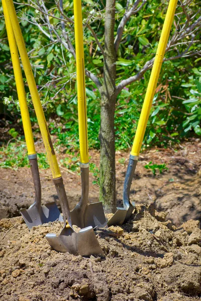 Садовые лопаты — стоковое фото