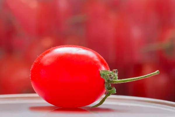 Tomate de uva — Foto de Stock
