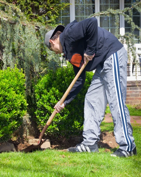 Nastolatek ogrodnictwo — Zdjęcie stockowe