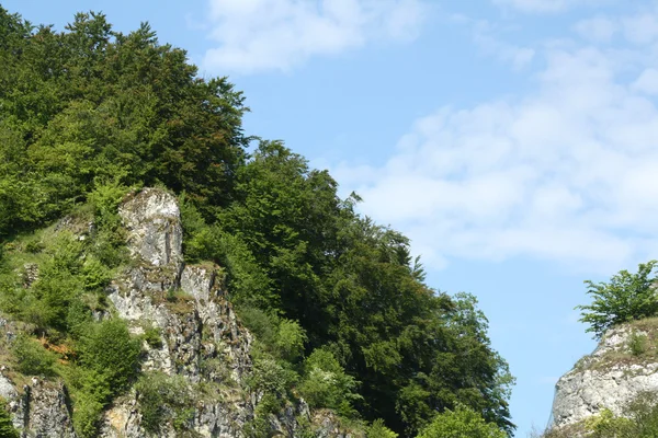 stock image Mountains in summer