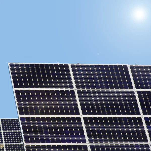 Solar plants — Stock Photo, Image