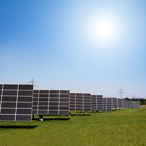 Plantas solares en las filas —  Fotos de Stock
