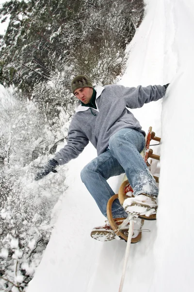雪橇竞赛 — 图库照片