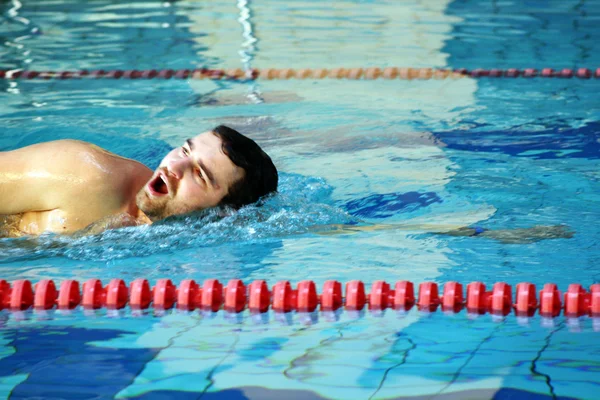 人の水泳 — ストック写真