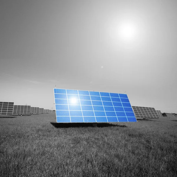 Feld für Solaranlagen — Stockfoto