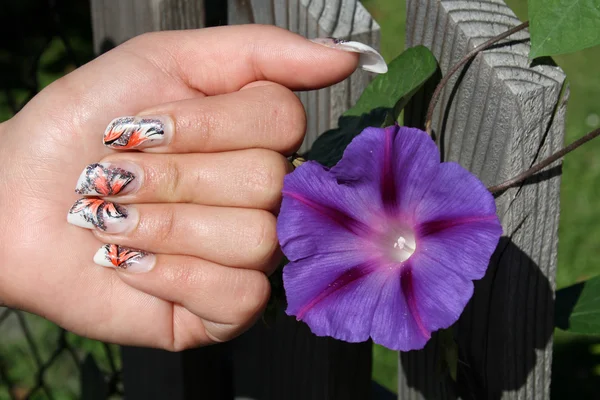 Manicure en blauwe bloem — Stockfoto