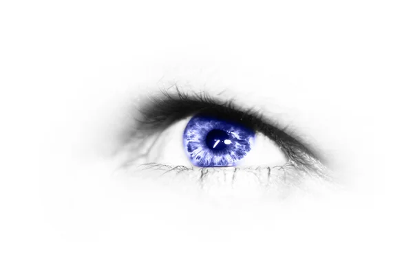 Глаз с голубой радужкой — стоковое фото