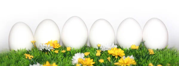 6 weiße Eier — Stockfoto