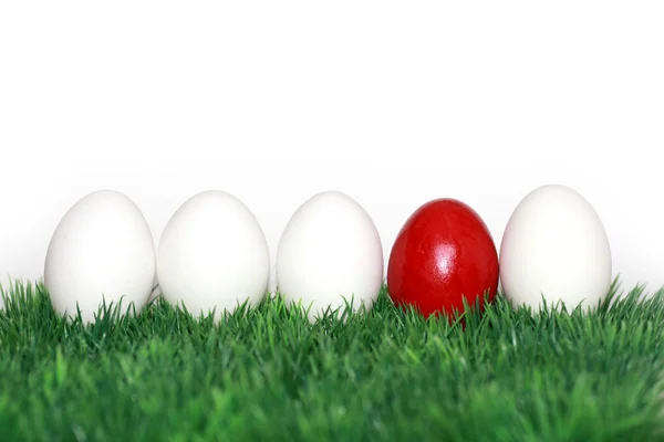 Красное яйцо между белым — стоковое фото