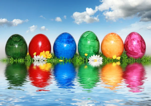 Gekleurde mix van eieren — Stockfoto