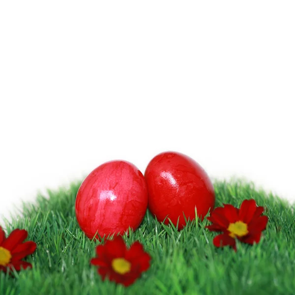 Δύο αυγά σε πράσινο φόντο με κόκκινα λουλούδια — Φωτογραφία Αρχείου