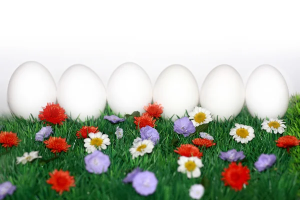 A húsvét színes rét — Stock Fotó