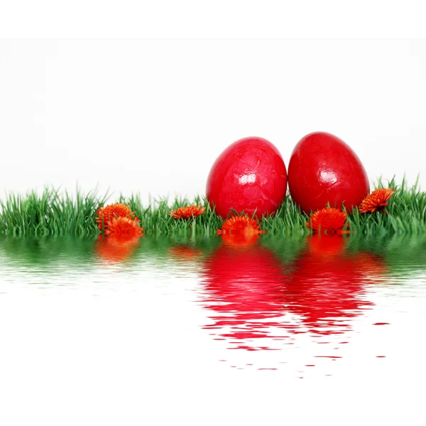 赤い卵が付いている美しい装飾 — ストック写真