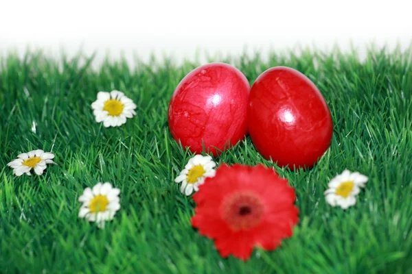 Ovos de Páscoa vermelhos na grama — Fotografia de Stock