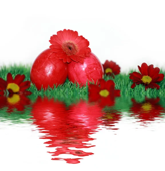 Ovos de Páscoa vermelhos e flores vermelhas — Fotografia de Stock