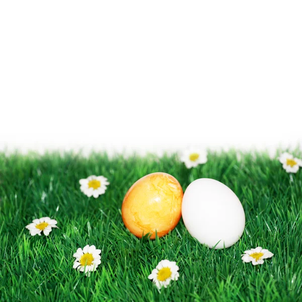 Wielkanoc kwiatów łąka — Zdjęcie stockowe