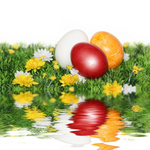 Яйца с краской — стоковое фото