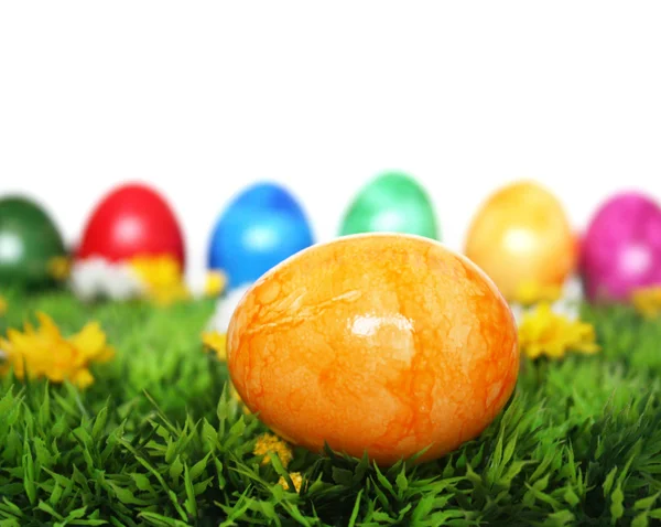 Yellow egg in the foreground — Stock Photo, Image