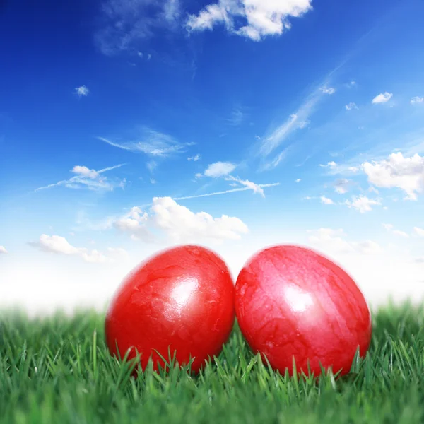 Easter eggs under the blue sky — Stock Photo, Image