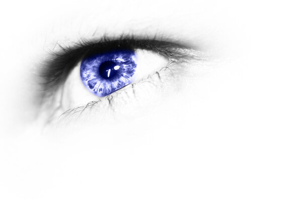 Blue eye on white background