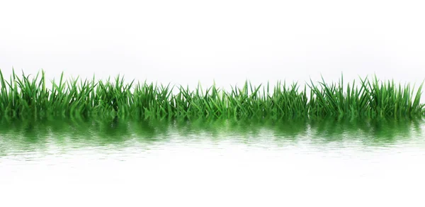 Green meadow by the water — Stok fotoğraf