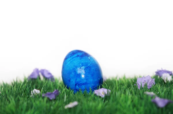 Uovo di Pasqua blu — Foto Stock