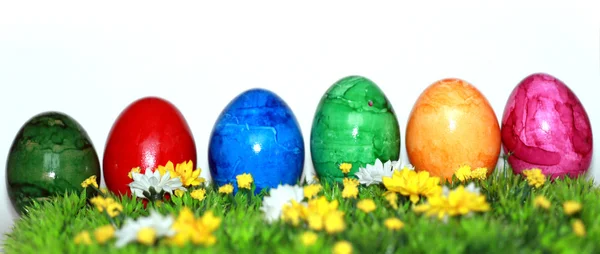 Banner for Easter — Stock Photo, Image