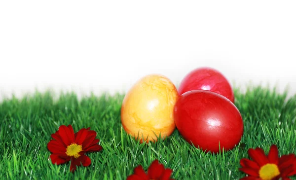 Krásné velikonoční vejce v zaměření — Stock fotografie