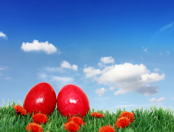 Dwa piękne czerwone jaja — Zdjęcie stockowe