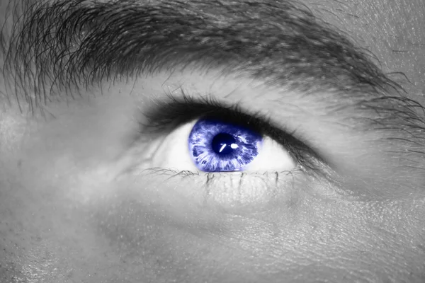 Blauw oog in focus — Stockfoto