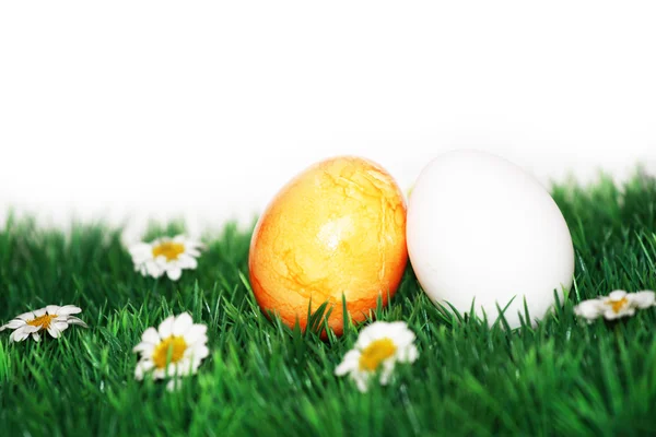 Yellow and white egg — Stock Photo, Image