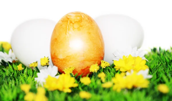 Decorazione per Pasqua — Foto Stock