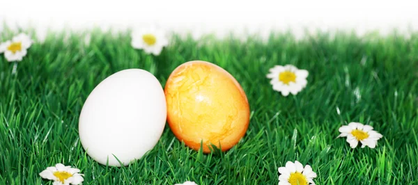 Ein gelbes und ein weißes Ei — Stockfoto