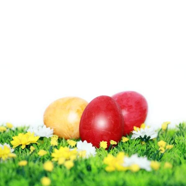在一个花草甸的复活节彩蛋 — 图库照片
